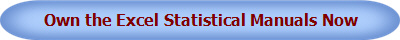 Own the Excel Statistical Manuals Now